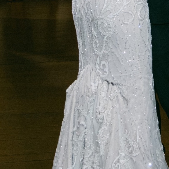 Wedding Dress and veil - Picture 6 of 8